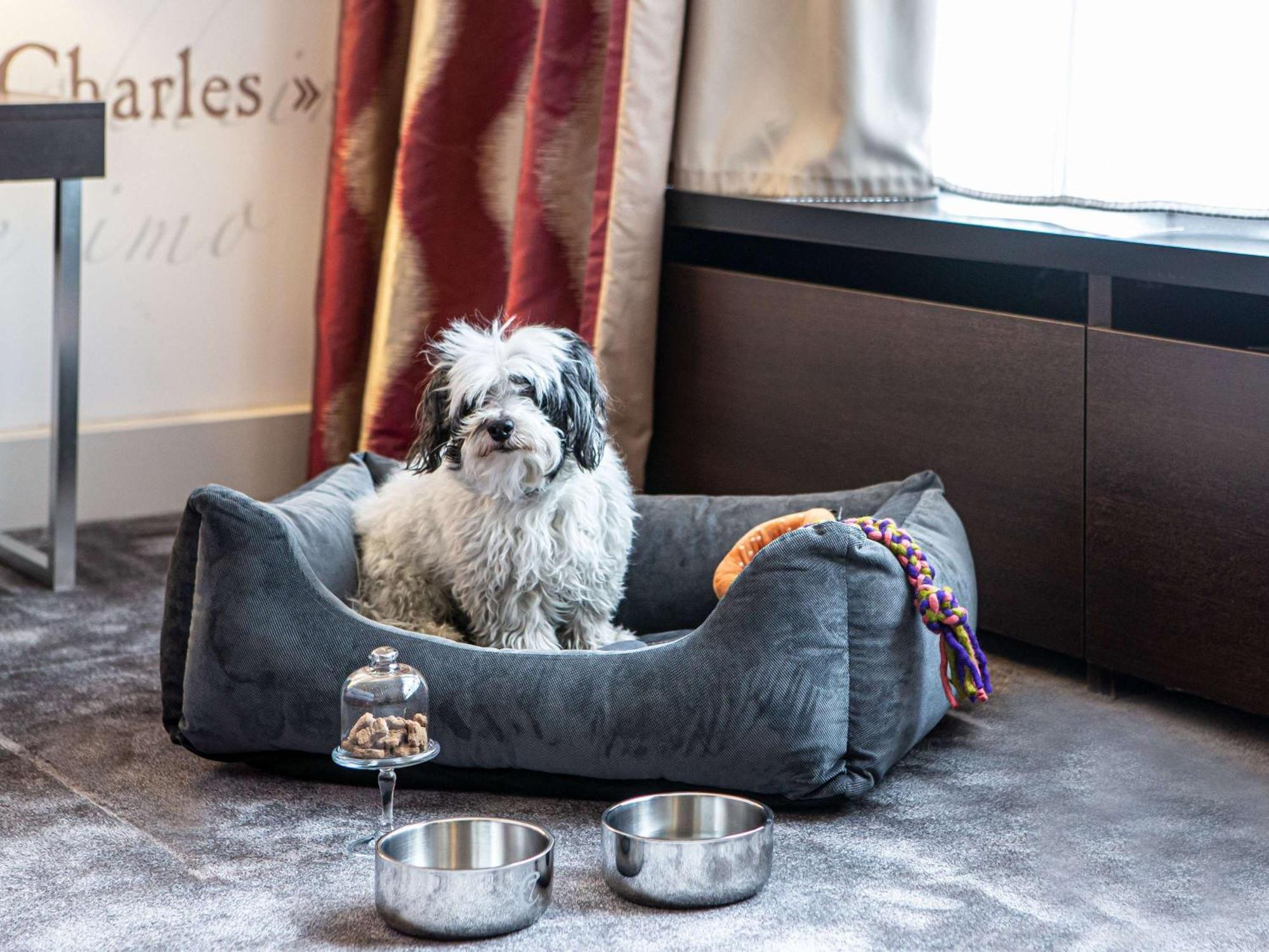 Sofitel Strasbourg Grande Ile Hotel Ngoại thất bức ảnh